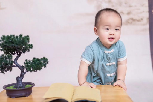 广饶可爱的企鹅宝宝